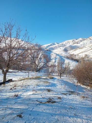 a snow covered hill with trees and mountains in the background at Spring Family Guest House in Tersak