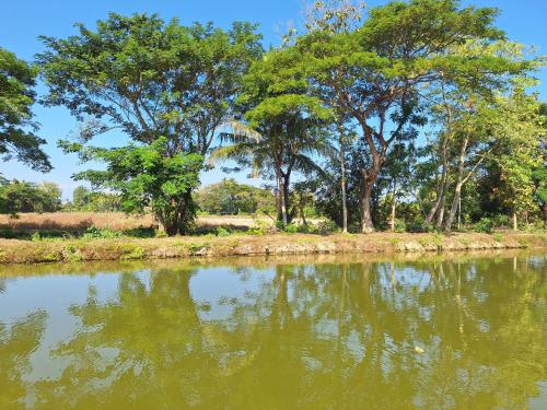 Paisaje cerca de este resort