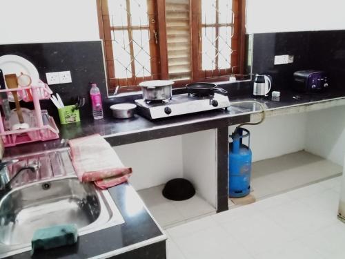 Cuisine ou kitchenette dans l'établissement Hasini Villa