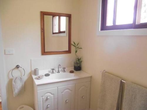 un baño con lavabo y espejo en Avalon River Retreat - 400 acre off the grid riverside nature & platypus oasis, en Ellenborough