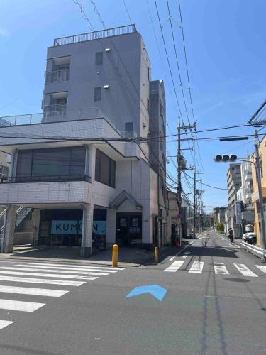Iwamoto compound 301 岩本コンパウンド301