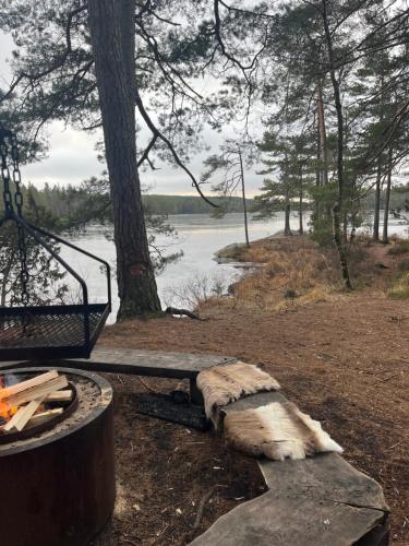 a picnic table sitting next to a tree next to a lake at Boende Sannerud Tived in Tived