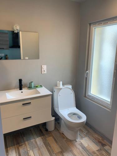 une salle de bain avec toilettes, lavabo et miroir dans l'établissement CHEZ GRANDMA GEO location in Chablis, à Chablis