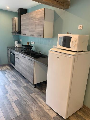 Il comprend une cuisine équipée d'un four micro-ondes et d'un réfrigérateur. dans l'établissement CHEZ GRANDMA GEO location in Chablis, à Chablis