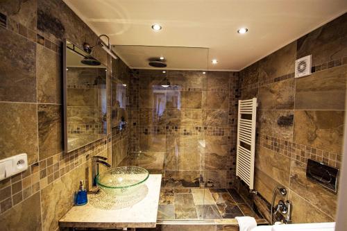 La salle de bains est pourvue d'un lavabo et d'une douche. dans l'établissement Ruterra Red Roofs View With Garage, à Prague