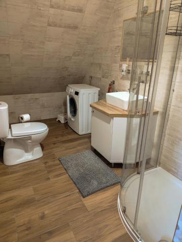 a bathroom with a toilet and a sink and a shower at Bieszczadzka Ostoja - całoroczne domy na wynajem w Kalnicy in Wetlina