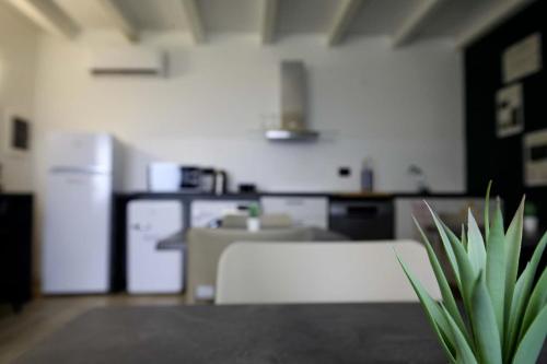 a living room with a couch and a table with a plant at Appartamento immerso nella natura con parcheggio - Viola in Sòis