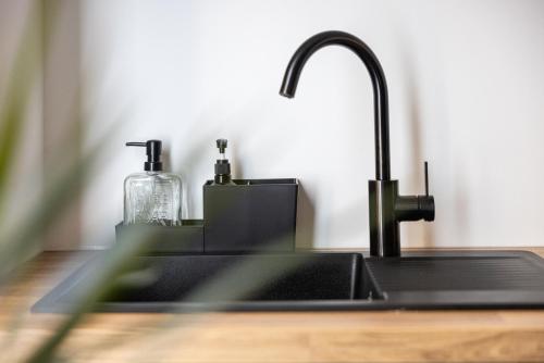 - un évier de cuisine avec un robinet et une bouteille de savon dans l'établissement Shopping et Détente au Centre Ville de Nice !, à Nice