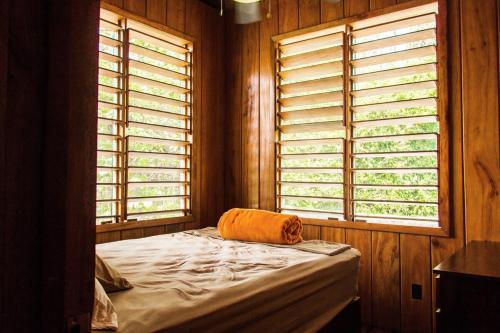 a bed in a room with two windows at The Retreat at Finca Solana, Corozal, Belize in Corozal