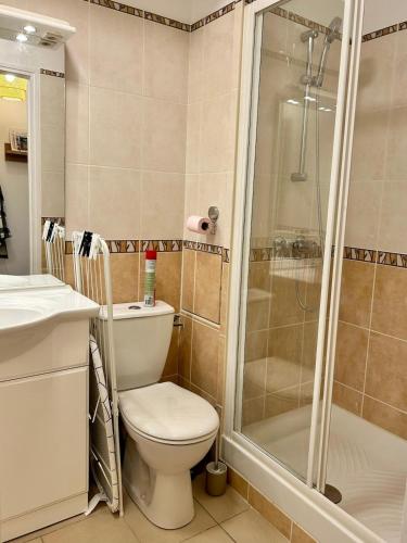 une salle de bain avec toilettes et douche dans l'établissement Charmant Studio avec extérieur, à Trouville-sur-Mer