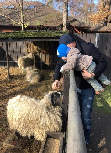 a man holding a child looking at a sheep at Kwatera Na Śliwkowej in Zabrzeg