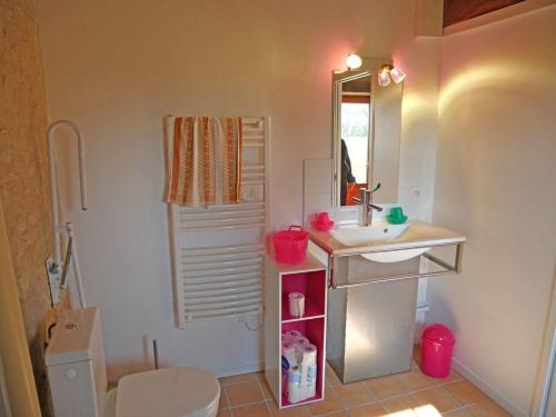 a bathroom with a sink and a toilet and a mirror at Le Coin des Hortensias in La Puye