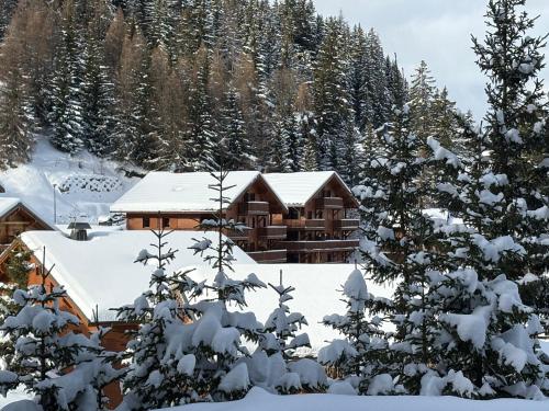 une cabane en rondins dans la neige dans l'établissement Location appartement cosy, à La Plagne Tarentaise