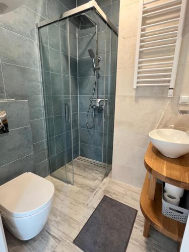 a bathroom with a shower and a toilet and a sink at Słowiński Horyzont in Rowy