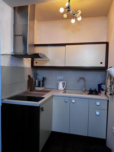 a small kitchen with white cabinets and a sink at Sweet Home Vlasic in Vlasic