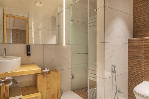 a bathroom with a shower with a sink and a toilet at Echor Mandara TreeVilla Dharamshala in Dharamshala