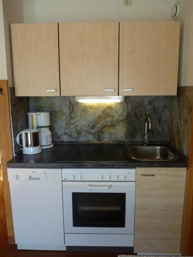 a kitchen with a sink and a white oven at Ferienhaus Schäfer - Apartments - Wintersports - Family holiday - Holiday with your dog - Rural & Scenic in Flattnitz