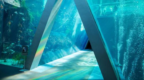 an escalator in an aquarium with a rainbow in it at Taira View Hotel in Iwaki