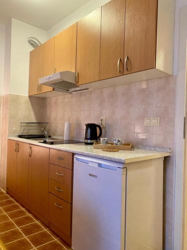 a kitchen with wooden cabinets and a white dishwasher at Apartment Victor in Banja Koviljača