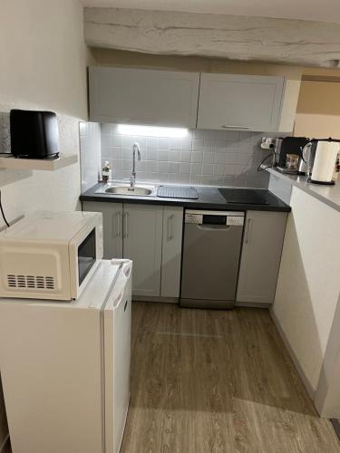 une petite cuisine avec un évier et un micro-ondes dans l'établissement Le cosy du marché Notre-Dame, à Poitiers