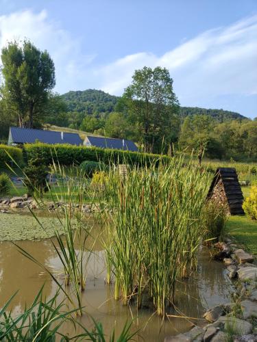 a pond with tall grass and a barn in the background at Osada Leonówka Bieszczady in Cisna