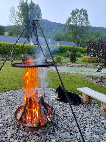 a fire pit with a dog laying next to it at Osada Leonówka Bieszczady in Cisna