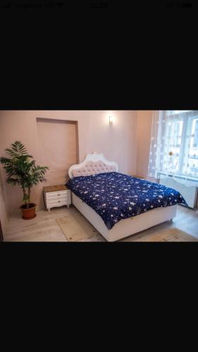 a bedroom with a bed with a blue comforter and a plant at Zara Central Apartments in Arad