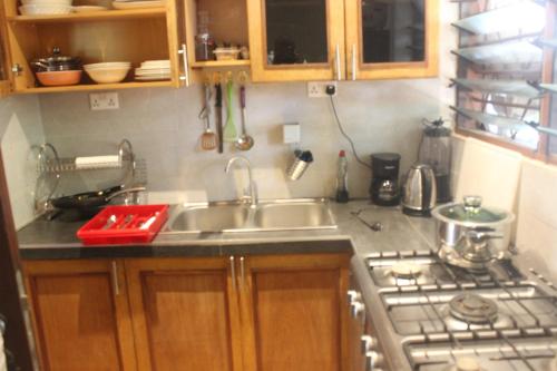 a kitchen with a sink and a stove at Green house, 2bdr Apt, 7 min from Airport in Accra