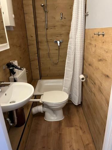 a bathroom with a toilet and a shower and a sink at Stadtnah an der Förde 7 DG GR in Flensburg