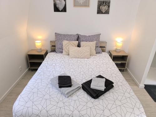 ein Schlafzimmer mit einem großen Bett mit zwei Lampen in der Unterkunft "Modern Cosy" Hyper centre in Bernay