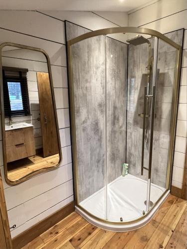 a shower in a bathroom with a mirror at Moonshine in Grimston