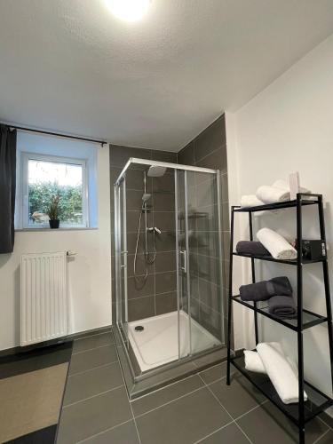 a bathroom with a shower with a glass enclosure at Ferienhaus - Eifeltraum - Salm in Salm
