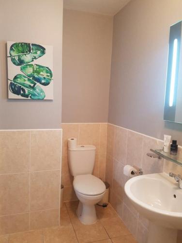 a bathroom with a toilet and a sink at Holiday Home Dingle in Dingle