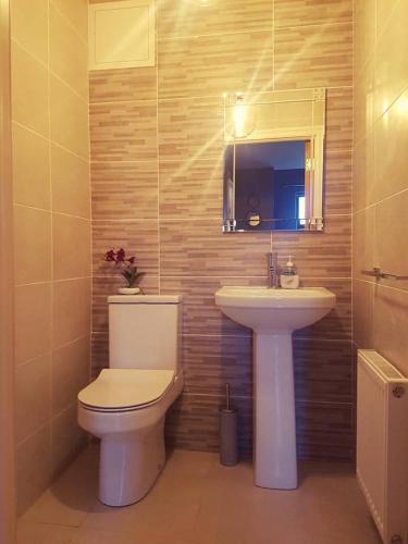 a bathroom with a toilet and a sink at Holiday Home Dingle in Dingle