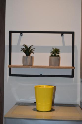 three plants on a shelf with a yellow bucket at Tommys Apartment in Nei Poroi