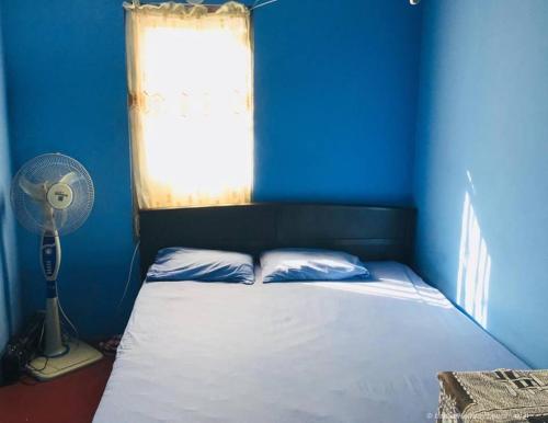 ein blaues Schlafzimmer mit einem Bett, einem Fenster und einem Ventilator in der Unterkunft Subhasinghe guest in Ella
