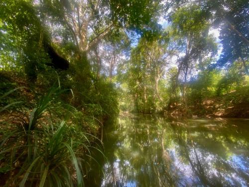 a view of a river in a forest with trees at Chika's Place River View Udawalawa in Udawalawe