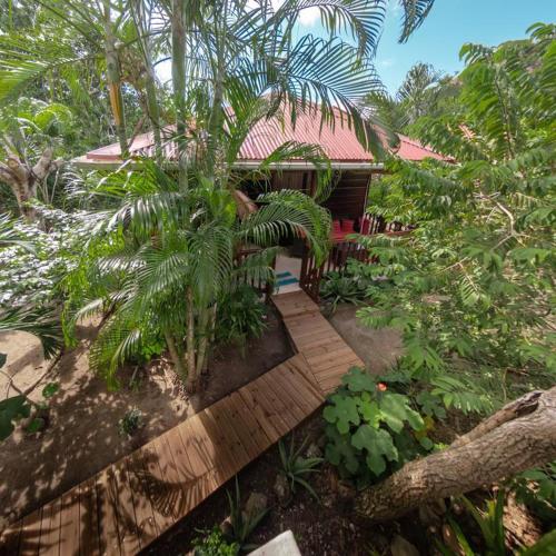 a wooden path leading to a house in a forest at Gîtes dans un jardin in Terre-de-Haut