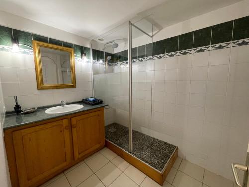 un bagno con lavandino e doccia di La Ferme de Belbouys a Soturac