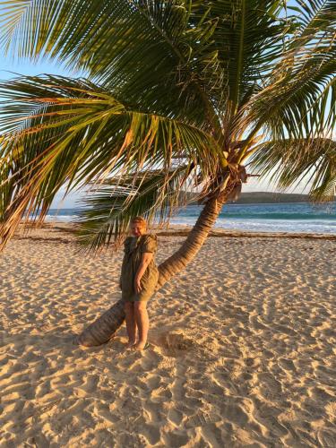 a man standing under a palm tree on a beach at Apartamento karma in Culebra