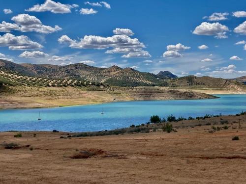 a large blue lake in the middle of a field at Dehesilla Olive Orchard Retreat in Fuentes de Cesna