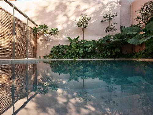 Domus Blanc Boutique Hotel photo 3