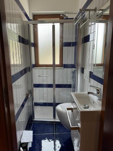 a bathroom with a shower and a toilet and a sink at Voce del Mare Apartment in Pontone