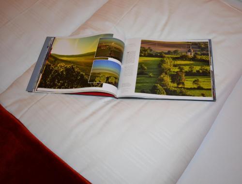 two open books sitting on top of a bed at Hotel-Gasthof Rotes Roß in Markt Einersheim