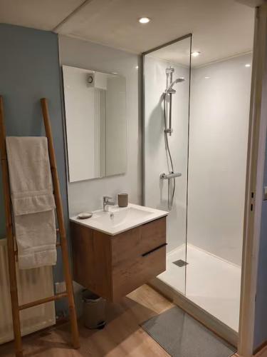 une salle de bain avec un lavabo et une douche dans l'établissement Les Glycines, T2 near downtown, à Poitiers