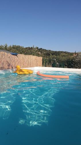 un bassin d'eau avec un objet jaune et un radeau dans l'établissement Maison au pied du Mont Ventoux, à Saint-Pierre-de-Vassols