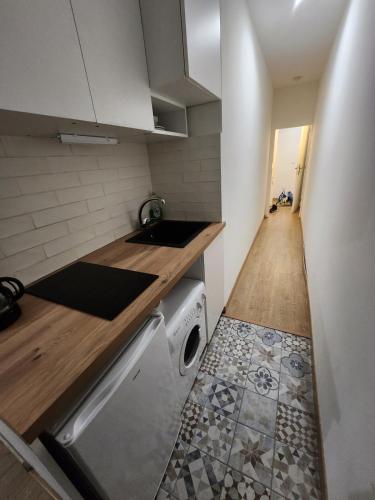 Il comprend une petite cuisine équipée d'un lave-vaisselle et d'un évier. dans l'établissement Confortable studio, jolie terrasse a 350 m de Paris, à Gentilly