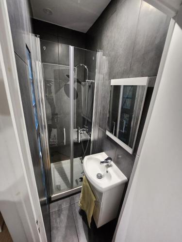 une salle de bain avec un lavabo blanc et une douche dans l'établissement Confortable studio, jolie terrasse a 350 m de Paris, à Gentilly