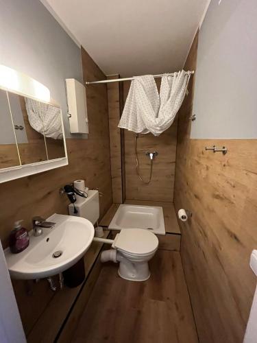 a small bathroom with a toilet and a sink at Stadtnah an der Förde 7 DG GR in Flensburg