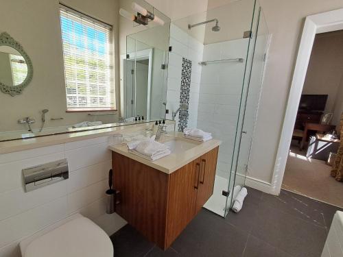 a bathroom with a shower and a sink and a toilet at Wild Mushroom Country House in Stellenbosch
